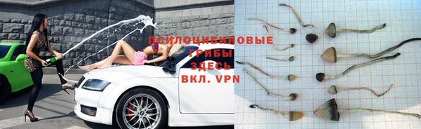 гашик Россошь