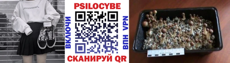 Галлюциногенные грибы Cubensis  Купить  Рыбинск 